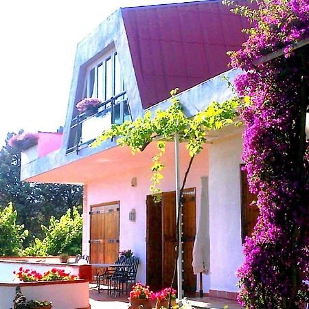 Bed And Breakfast Aloisio San Gregorio di Catania Bagian luar foto