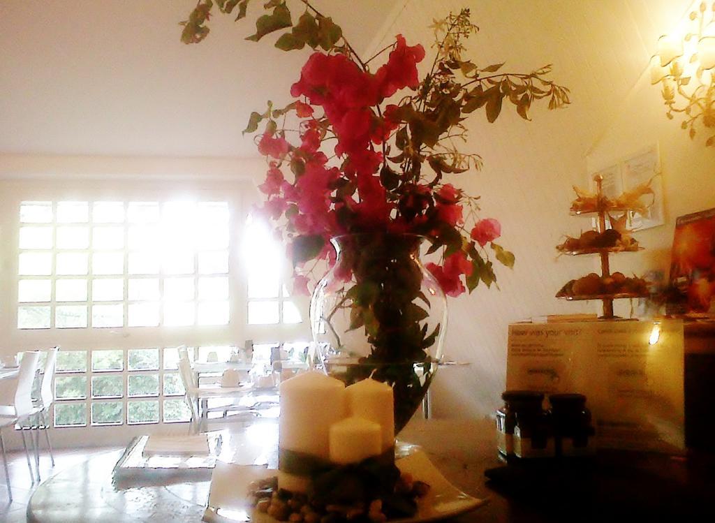 Bed And Breakfast Aloisio San Gregorio di Catania Bagian luar foto