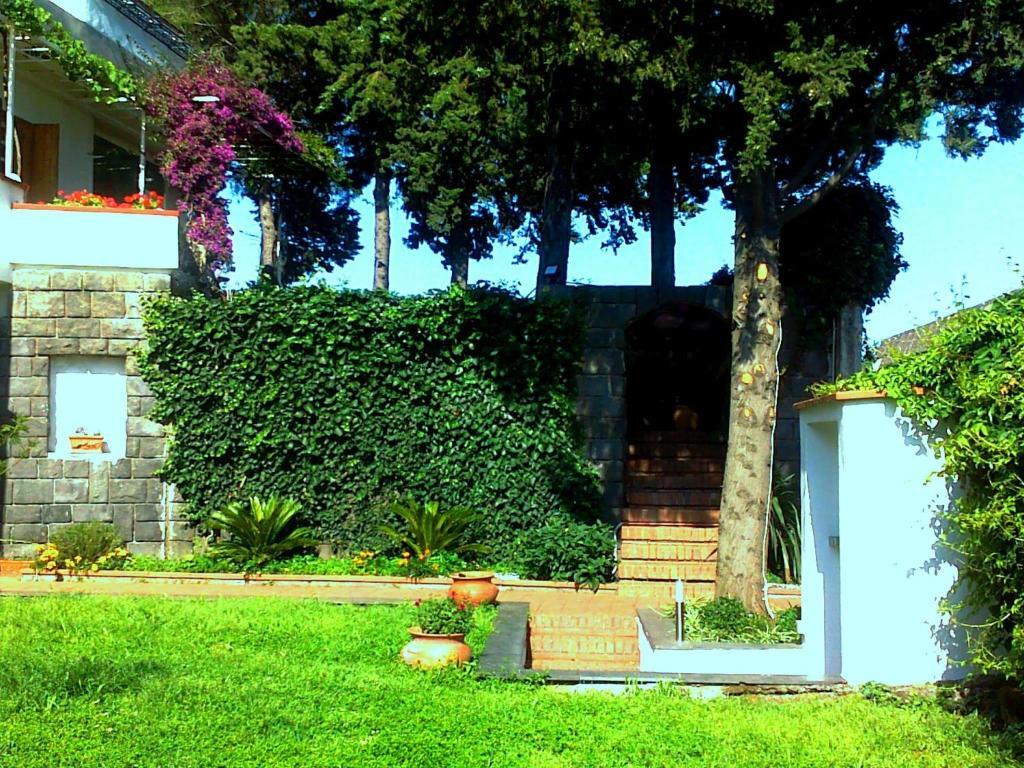 Bed And Breakfast Aloisio San Gregorio di Catania Bagian luar foto