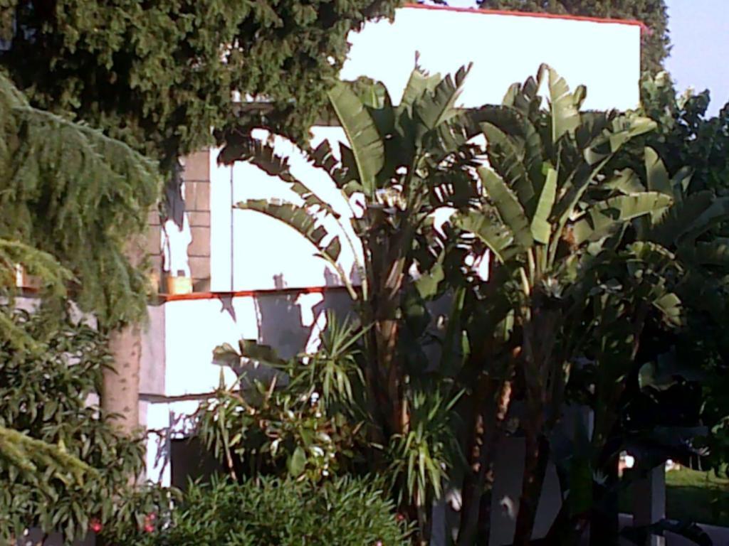 Bed And Breakfast Aloisio San Gregorio di Catania Bagian luar foto