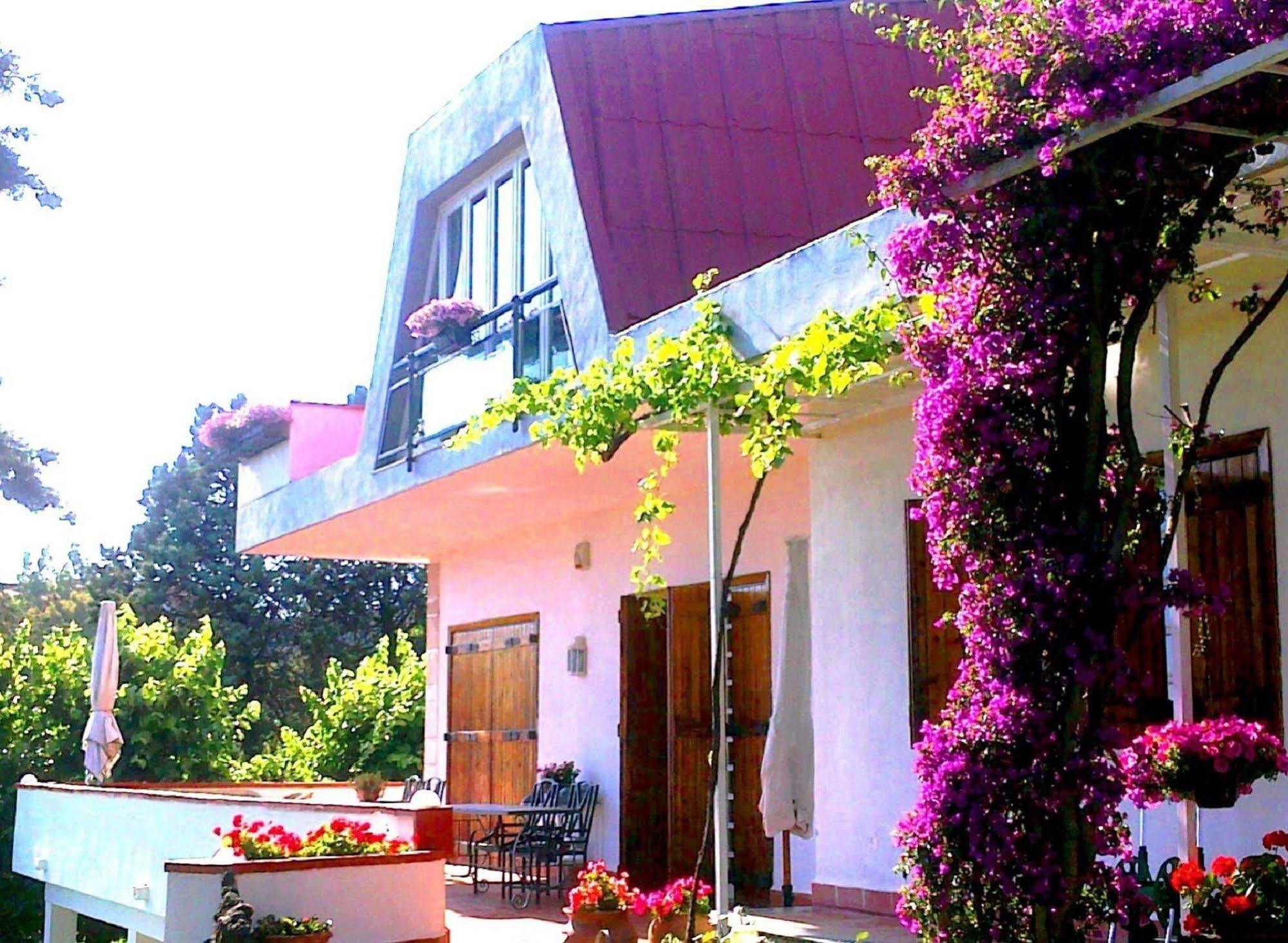 Bed And Breakfast Aloisio San Gregorio di Catania Bagian luar foto